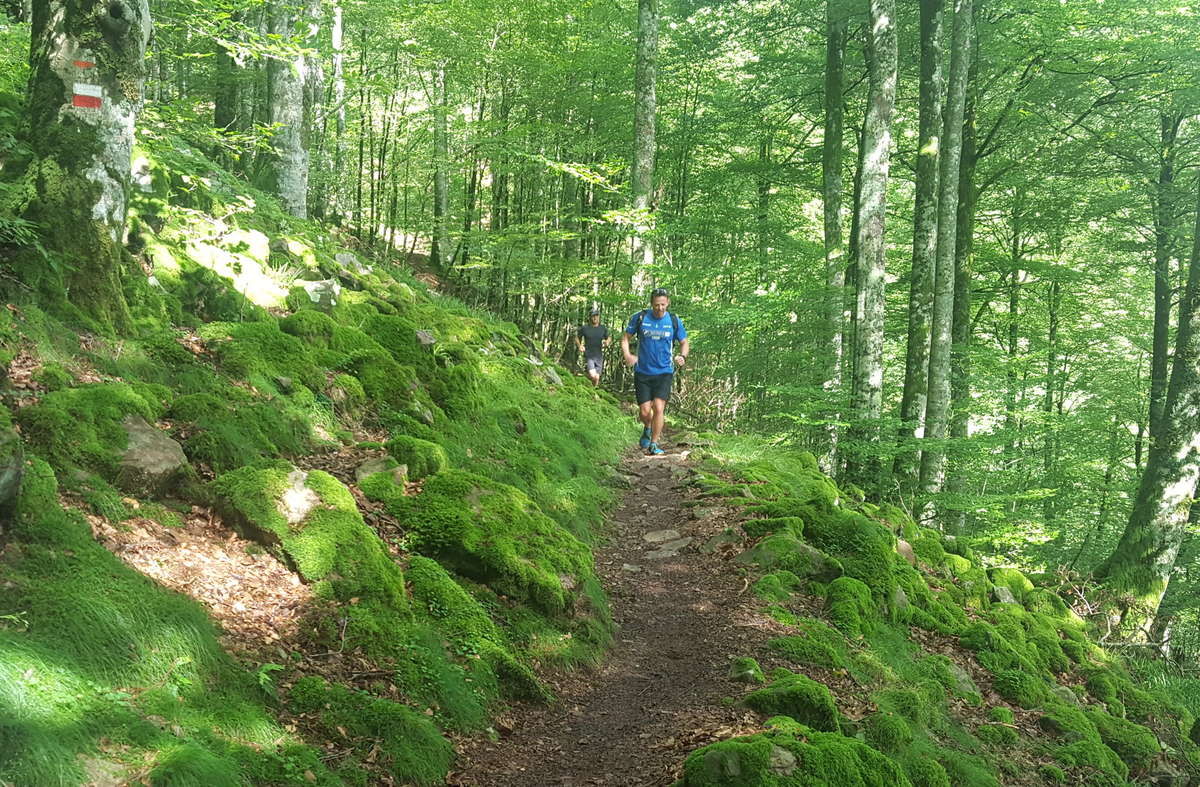 Session d'initiation au trail en matinée avec Caminando