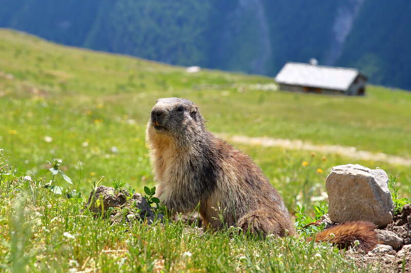 Randonnée dans le cirque de Gavarnie