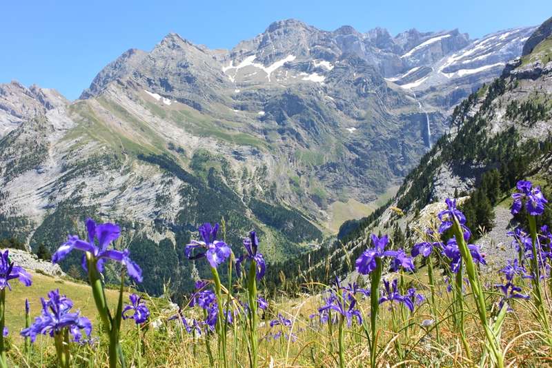Depuis le Pic de Bergons