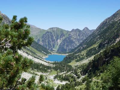 Course d'orientation Pyrénées