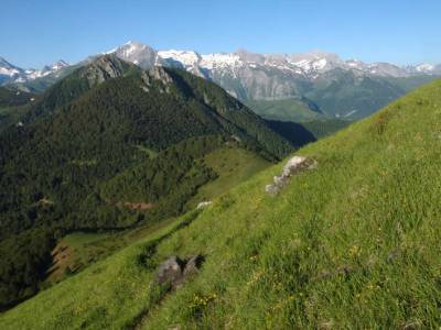 Randonnée sous le vol des vautours au Soum de Granquet