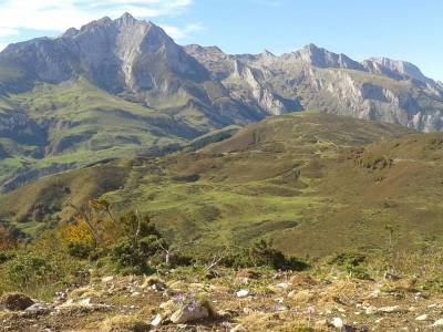 Randonnée forestière et panoramique en Val d'Azun