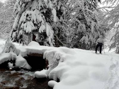 Randonnée à raquettes en vallée de Bagnères