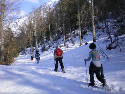 Randonnée à raquettes à Barèges forêt de l'Ayré