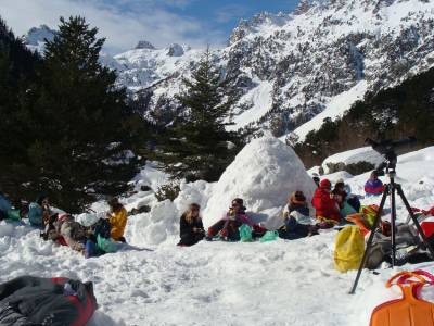 Animation Neige et construction d'Igloo