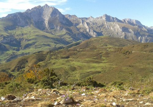 Randonnée forestière et panoramique en Val d'Azun