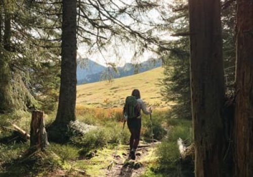 Randonnée forestière et panoramique en Val d'Azun