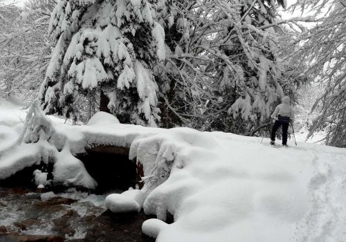 Randonnée à raquettes en vallée de Bagnères