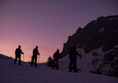 Randonnée à raquettes nocturne et repas en auberge 