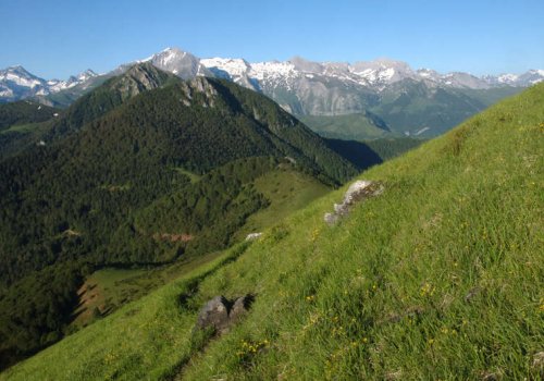 Randonnée sous le vol des vautours au Soum de Granquet