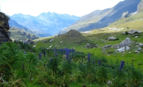 cirque-gavarnie01