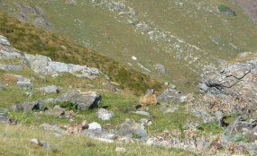 cirque-gavarnie09