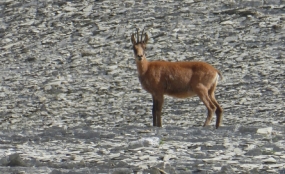 lary-gavarnie05